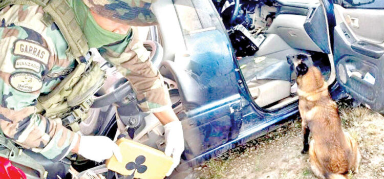 Perro antidrogas Isak halla estupefacientes ocultos en tablero de vehículo dos personas arrestadas