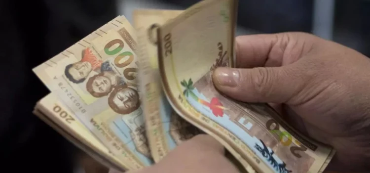 Joven de 23 años encarcelado por posesión de 1,9 millones de bolivianos en operativo sorpresa