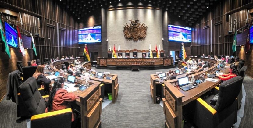 Senadores y Diputados Aprueban Leyes a Ritmo Frenético en Dos Semanas