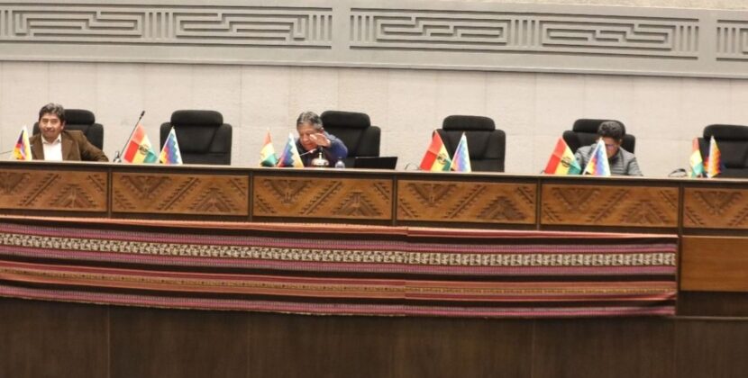 Asamblea Nacional comete atrocidades al rechazar crédito japonés de cien millones de dólares según Arce