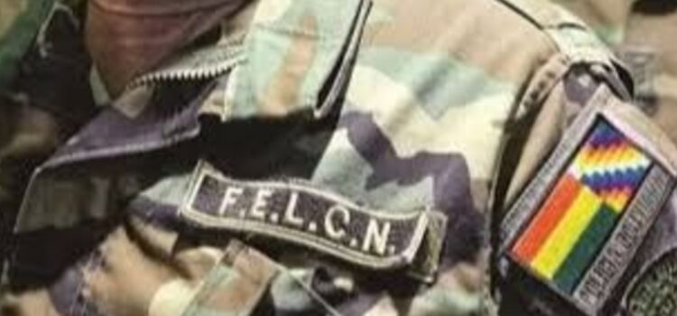 Policías y militares implicados en tráfico de armas y sicariato junto a ‘Coco Vásquez’