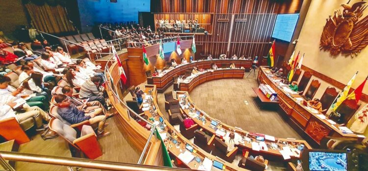 Senado exige investigación a Del Castillo por golpe de estado 2024