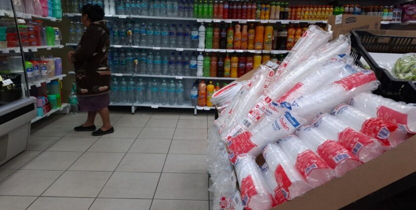 Reúso y relleno alternativas para reducir plásticos desechables impacto ambiental