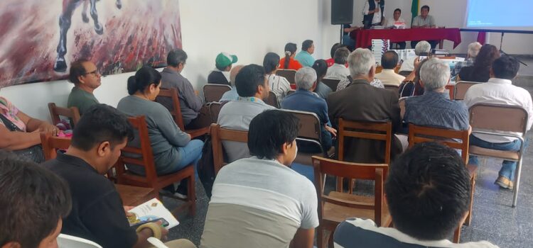 Carrizal avanza con impulso institucional y gubernamental para su consolidación