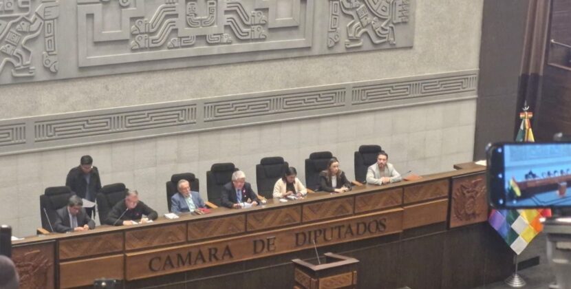 Nueva Cámara de Diputados elige por unanimidad directiva ad hoc para iniciar legislatura