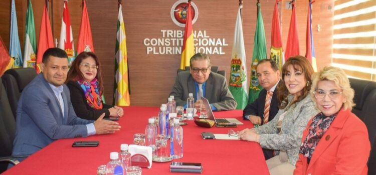 Magistrados del TCP disponen finalización de prórroga en proceso judicial