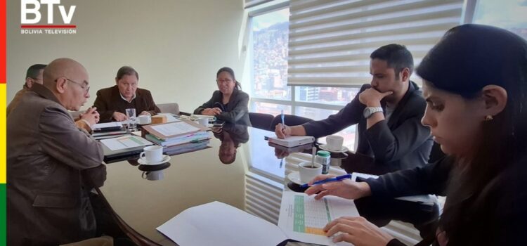 Núñez revela que falta sanear el seis por ciento de tierras a nivel nacional en caso INRA