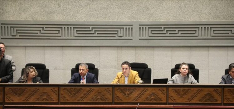 La ALP aprueba convocatoria para elegir vocales del Tribunal Supremo Electoral