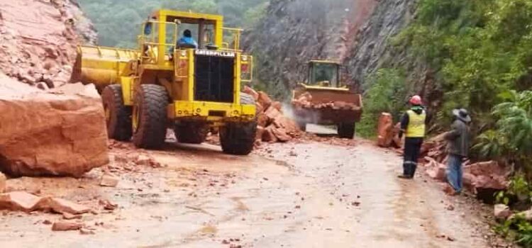 Transporte Libre anuncia nombramiento de Demetrio Calabi como director de ABC