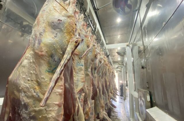 Gobierno de Bolivia advierte sobre impacto del precio de la carne en hogares urbanos