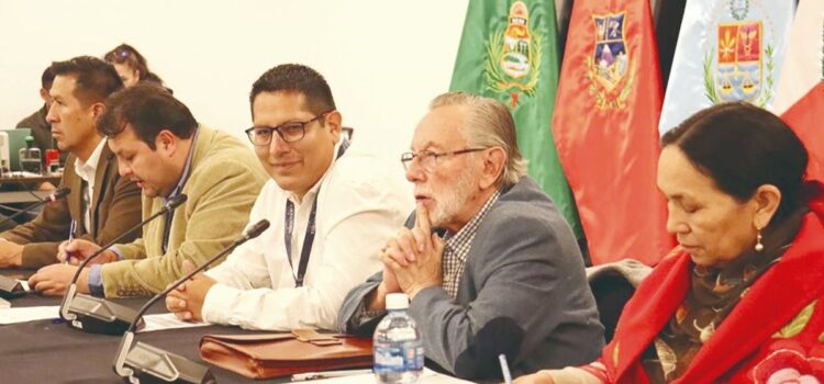 ALP habilita impugnaciones y impulsa fase decisiva para vocales del TSE en La Paz