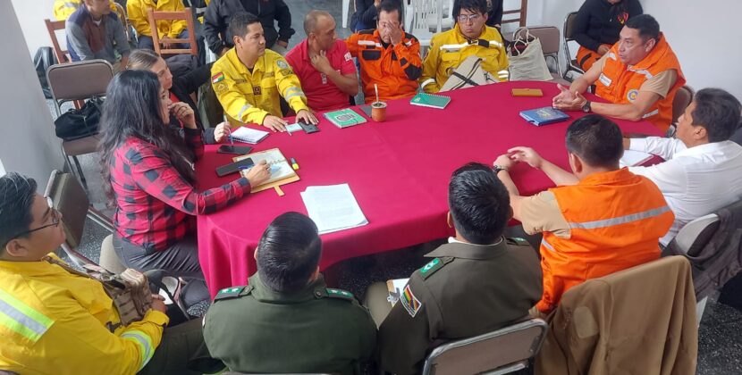 Diputada Pacello advierte que empresas estatales deficitarias deben cerrarse