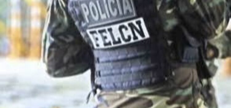 Felcn investiga pérdida de 50000 dólares incautados en operativo antidrogas