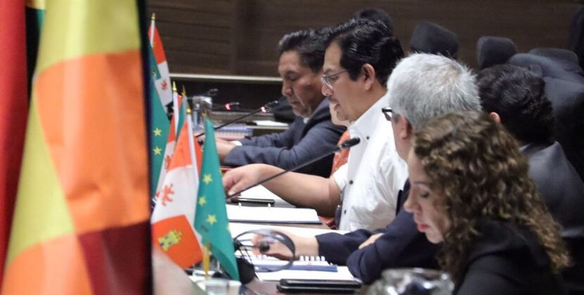 Tribunal Constitucional ampara y modifica preselección de vocales en Bolivia