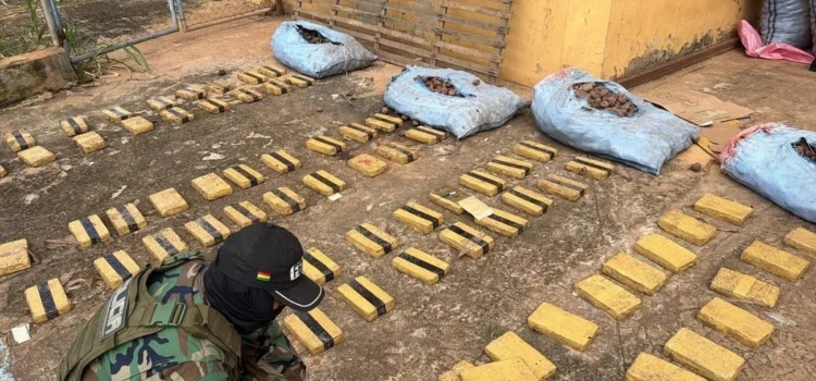 Autoridades de Cobija hallan 80 paquetes de droga camuflados en sacos de papa en terminal