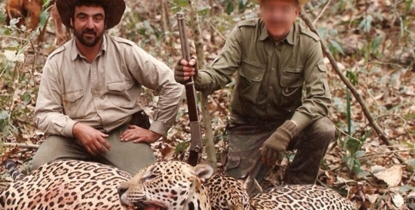 Fiscalía de Bolivia evalúa reabrir caso Jaguares por caza ilegal internacional