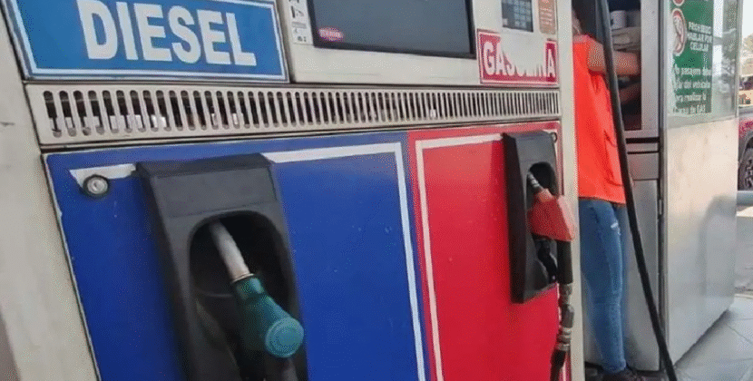 Estudio revela que combustible representa solo 30 por ciento de costos en transporte