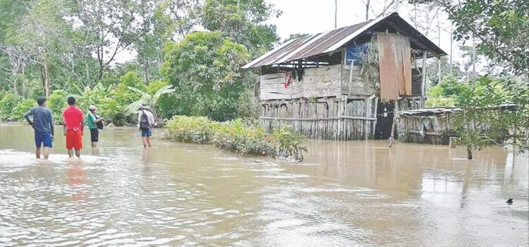 Gobierno anuncia alerta naranja por desbordes en seis departamentos de Bolivia