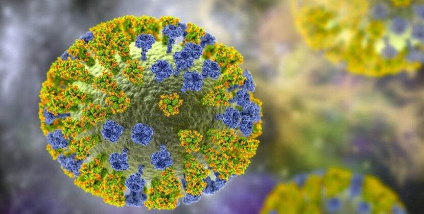 Bolivia confirma dos casos de la Gripe K y alerta a la población