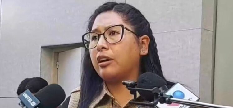 TSE advierte riesgo de inhabilitación a Morena para elecciones subnacionales