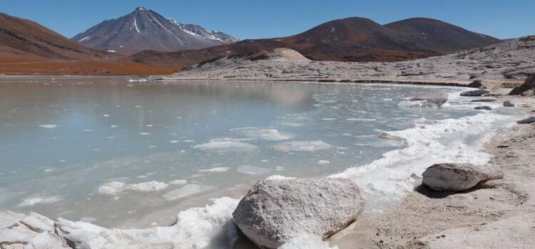 Chile impulsa la creación de la mayor empresa público privada para explotar litio