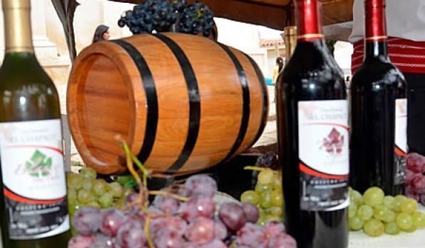 Viticultores de Tarija prevén producir 1 5 millones de quintales de uva