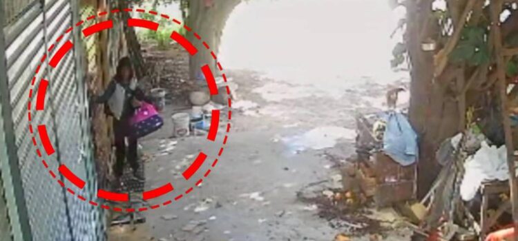 Cámaras captan en La Paz a falsa trabajadora que roba Bs 220000 en efectivo y joyas