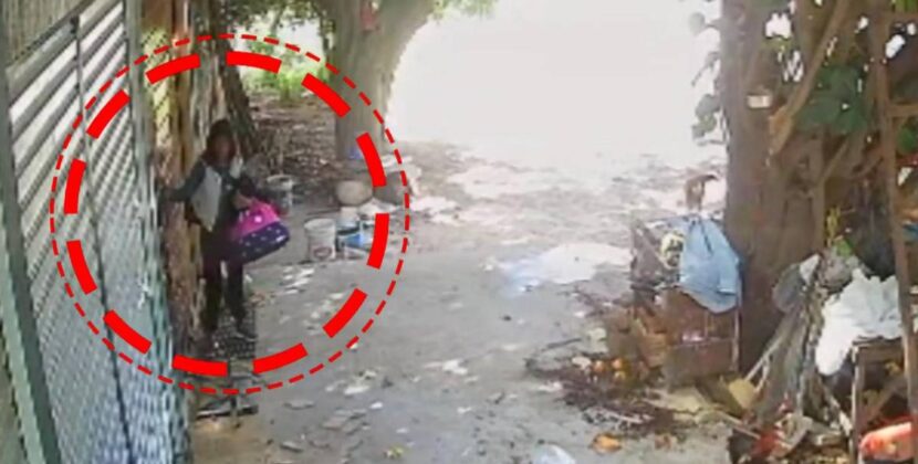 Cámaras captan en La Paz a falsa trabajadora que roba Bs 220000 en efectivo y joyas