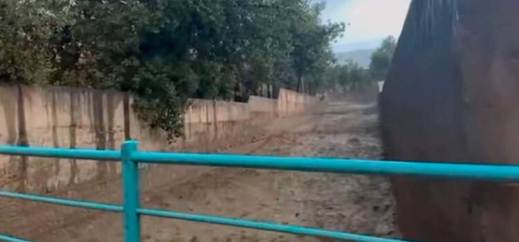 La Paz confirma desborde en Flor de Irpavi tras crecida de seis ríos por lluvia intensa