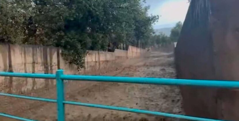 La Paz confirma desborde en Flor de Irpavi tras crecida de seis ríos por lluvia intensa