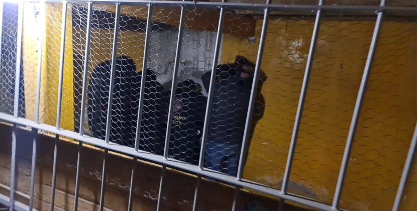 Autoridades investigan a cinco policías por cobros ilegales y contrabando en Pisiga y Chile