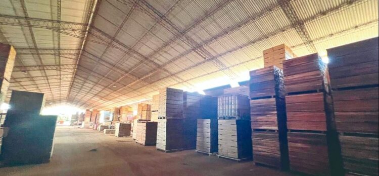 Felcn incauta maquinaria pesada inmuebles y dinero en operativo contra droga en madera