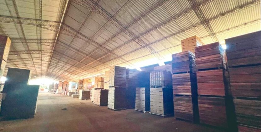 Felcn incauta maquinaria pesada inmuebles y dinero en operativo contra droga en madera