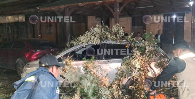 Vientos derriban 17 árboles y dos letreros en Cochabamba y causan daños