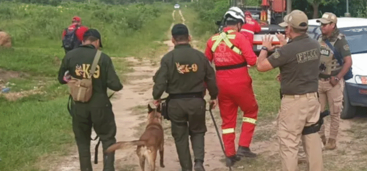 Autoridades encuentran sin vida a niña desaparecida desde el martes en la ciudad