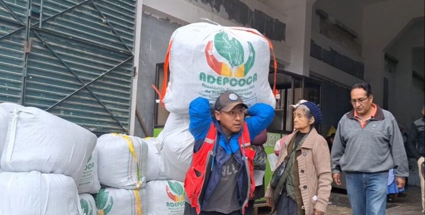 Santa Cruz revela consumo de 96 mil toneladas de coca en 11 años y moviliza 922 millones dólares