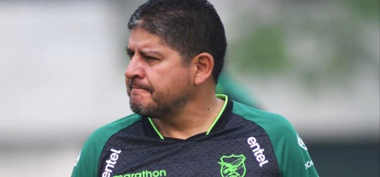 Villegas confirma viaje a México en febrero para definir base de trabajo de la Verde