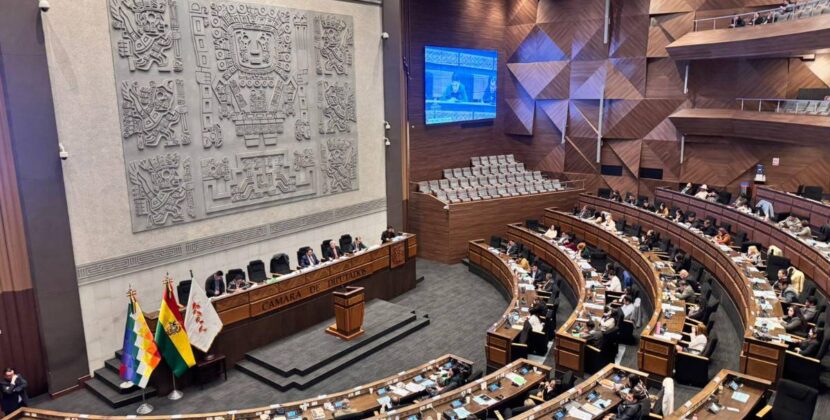 Cámara de Diputados posterga para el martes la designación de vocales electorales en La Paz Oruro y Potosí