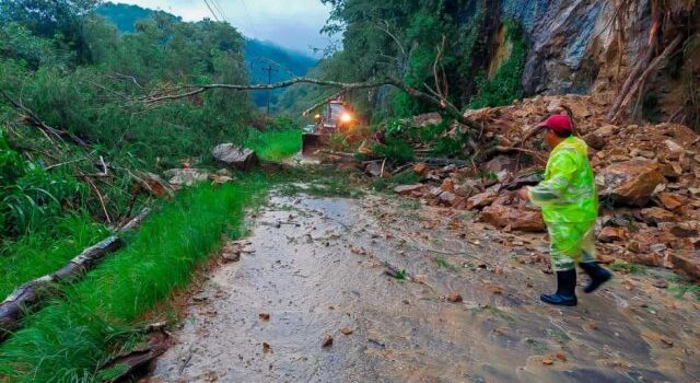 Tarija confirma tránsito habilitado con restricciones en rutas principales