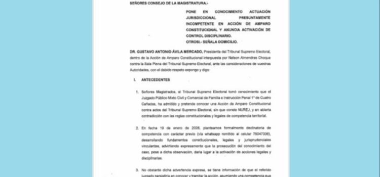 TSE denuncia en La Paz al juez que acepta acción sobre personería de ADN