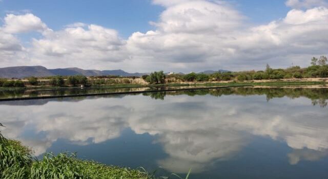 Municipio de La Paz confirma colapso de cisternas en lagunas de oxidación