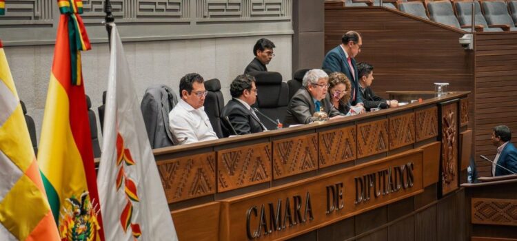 Diputados eligen vocales en Oruro y Potosí y devuelven ternas de La Paz