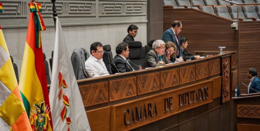 Diputados eligen vocales en Oruro y Potosí y devuelven ternas de La Paz