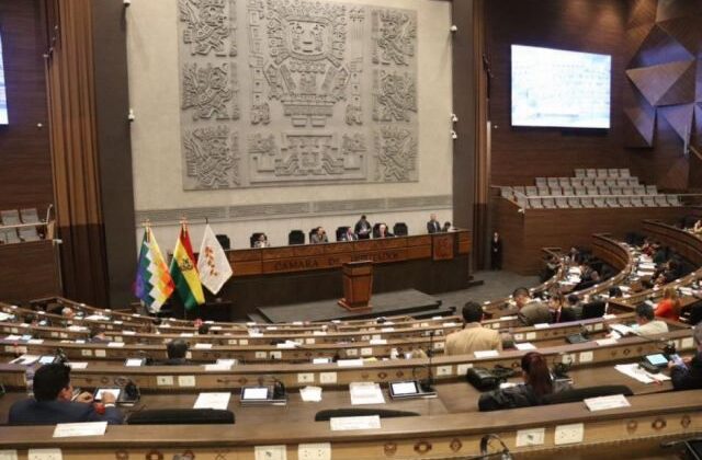 Legisladores en Bolivia debaten propuesta que impulsa reducción de sueldos públicos