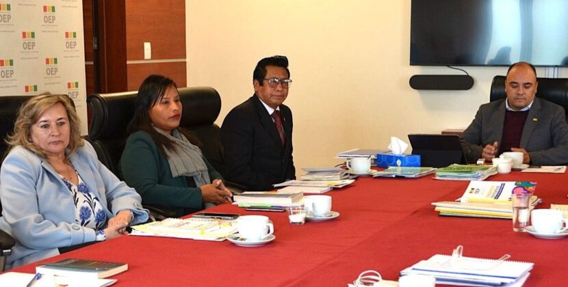 TSE ratifica decisión y deja sin elecciones subnacionales a tres organizaciones