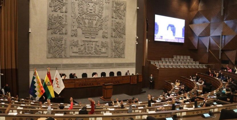 Parlamentario boliviano advierte que reducción de salarios impulsa fuga de cerebros legislativos
