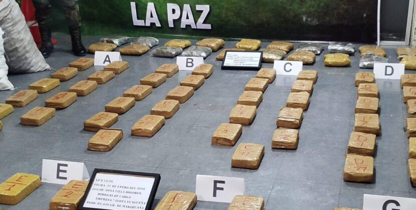Policía de El Alto encuentra 101 paquetes de marihuana entre encomiendas de papa y ropa