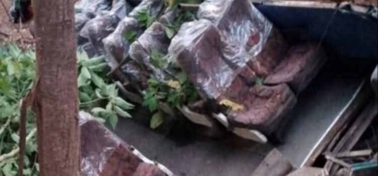 Accidente en La Paz confirma la muerte de 14 personas y conmociona a la ciudad