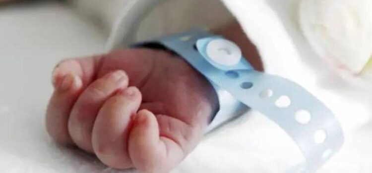 Hospital La Paz de La Paz confirma diagnóstico reservado de bebé con chikungunya congénito