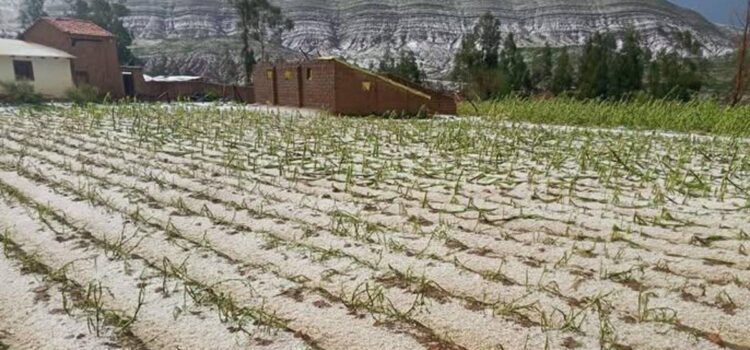 Vientos huracanados afectan a 13 municipios de Cochabamba y autoridades advierten riesgos